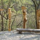만산수목원 Daum카페