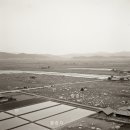 1912년 가리봉동 국유지 13필지, 논과 잡종지가 만든 도시 이전의 풍경