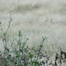 한림읍 월령리마을 이미지