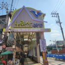 구가네홍어