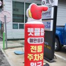 펫클럽동해시평릉점