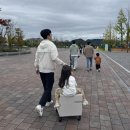 안경랜드 중앙점 | 7살,5살,4살 아이와 함께 춘천 레고랜드 입장권할인/놀이기구/준비물 총정리