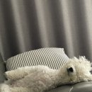 광주온누리약국 이미지