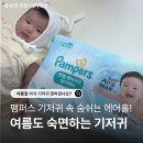 신제 | 팸퍼스 엔젤 에어차차 썸머팬티 여름기저귀 신제 추천 사이즈팁