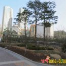 판교동629-2 이미지