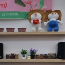 서시래연화마을 이미지