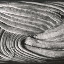 뮤지엄 한미 이미지