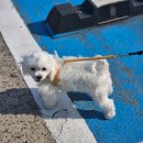 성재지 | 제발로 널 내게 줄게 너조차 알지도 못하게