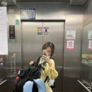 다옴plus | 2023.05.21-27 태국(방콕-파타야-방콕)_01(21-24일)
