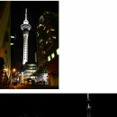 스카이타워 이미지