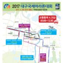 2017년 대구 국제마라톤 대회가 있습니다. 참고하세요 이미지