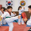 정도 태권도 | 아이 태권도 보내야 할까? 부모들이 궁금해하는 모든 것