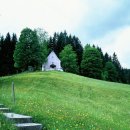 동화연구지도사 이미지