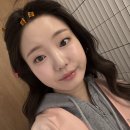 파티앤 캣 | [결혼준비1] 아르센 스튜디오 촬영후기