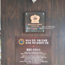 파라다이스스파도고 더 라운지 디 | 부산 온천 해운대 클럽디오아시스 후기 사우나 찜질방 겨울 가격 할인 청수당 준비물