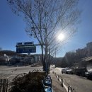 브라운세차장 이미지