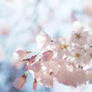자연 NATURE 이미지