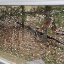 동탄지성로 이미지