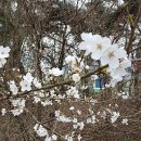 영광농협주유소 이미지