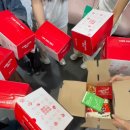 휴암로(3) | [농심 반려다움] 유기견 봉사활동 후기 (feat. 파주 리트리버 레스큐)