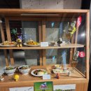 영풍농장 | 용산 아이파크몰 7F 태국보다 맛있는 태국음식 맛집 콘타이 쌀국수 추천 혼밥 혼술 메뉴 고수 맥주 후기