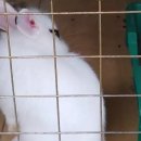 성도부동산공인중개사사무소 이미지