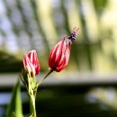 레드시크릿 이미지