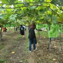 인처골마을 이미지