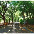 안산천수변공원1 이미지