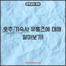 강남ON부동산중개 | 호주 기숙사, 부동산, 쉐어하우스, 호주 유학의 시작 유홈즈