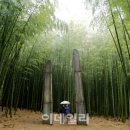 바람소리새소리 이미지