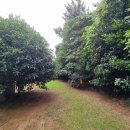 협재마당 이미지