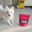 미소덴탈 | 강아지간식추천 노견 치석관리 덴탈껌 스파이더웹 덴탈바 후기