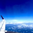 기린동물약국 | 26.The first trip in January