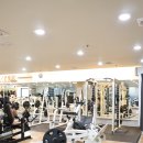 워너짐 가야 이미지