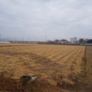 대산면916 이미지