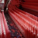 새솔세탁 이미지