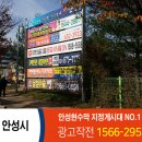 행정용 81 네이버블로그
