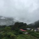 숲속맑은꼴