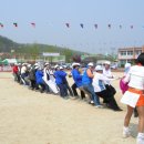 화합의축제의 식후행사(체육대회) 이미지