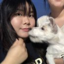 긍정의응집