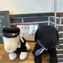 알로하디디