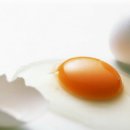 한가람동물의료센터 이미지