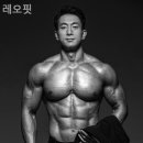 더 레오 핏 이미지