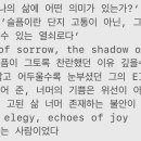 The light of sorrow, the shadow of joy 이미지