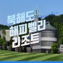 챔피언여행사 이미지