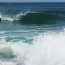 Holly Shop 이미지