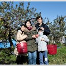 영인농장 이미지