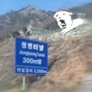 일진스포츠 | 군체 영화 본 후기(스포개많음 경고함)
