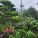 까사벨라 제이스테이 이미지